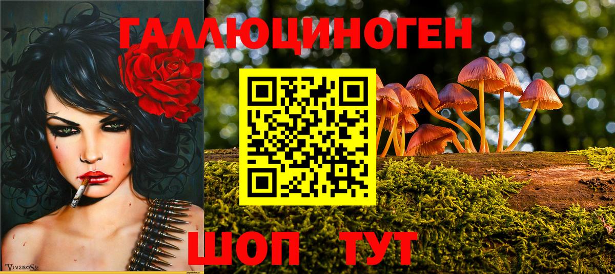 Псилоцибиновые грибы мицелий Черемхово