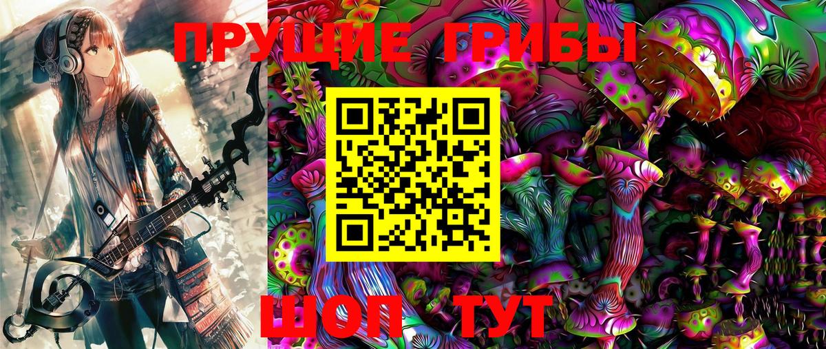 Псилоцибиновые грибы MAGIC MUSHROOMS  Вход с VPN  Черемхово 
